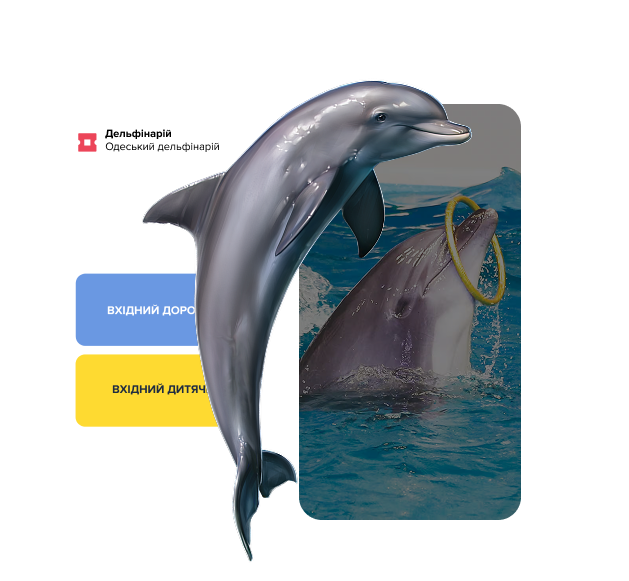 Dolphinarium ticketing software: more revenue, less manual work